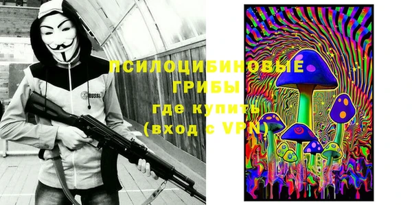 ГАЛЛЮЦИНОГЕННЫЕ ГРИБЫ Алексеевка