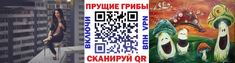 blacksprut сайт  Яровое  Псилоцибиновые грибы мицелий  сайты даркнета какой сайт  магазин продажи наркотиков 